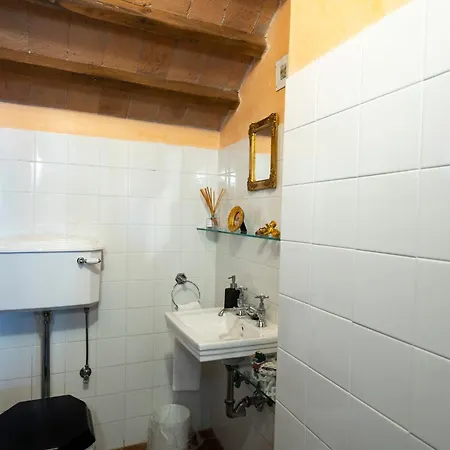 With Swimming Pool In