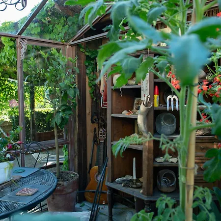 With Swimming Pool In סן ג'ימיניאנו